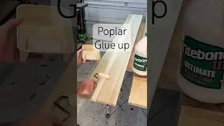 Poplar Glue Up