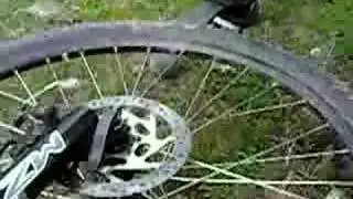 Steaming disc brakes