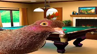 I taught my Pet Pigeon to Play Pool...