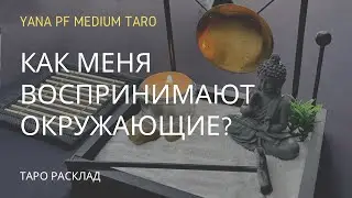 HOW DO OTHERS PERCEIVE ME? FAMILY, FRIENDS, COLLEAGUES. Tarot reading.