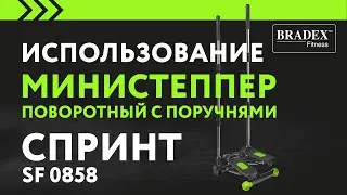 Министеппер поворотный с поручнями СПРИНТ