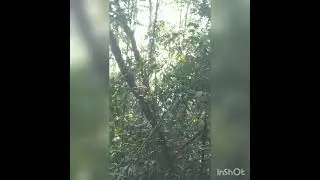 Air Terjun Janda Mandi : 9 April 2021
