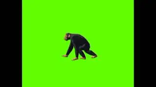 green screen video