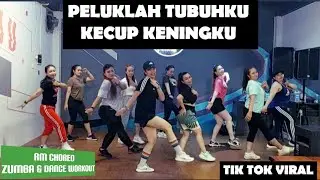 PELUKLAH TUBUHKU KECUP KENINGKU | REMIX | TIK TOK VIRAL|RM ZUMBA