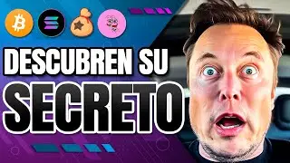 😱 DESESPERACIÓN POR BITCOIN! ¿NUEVO LIDER? 👉 SOLANA HACE UN X20!! | Criptomonedas Noticias hoy $PORK