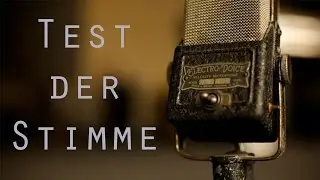 Text der Stimme [SHORTFILM]