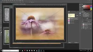 Using your own Textures