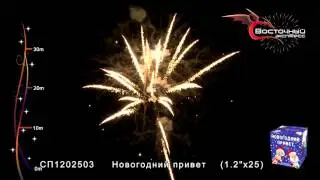 Новогодний привет СП12025031 www.salut-vl.ru