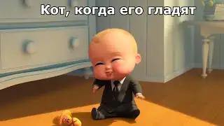 Как меняется настроение кота | Суперсемейка мем
