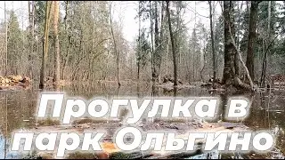 Прогулка в парк Ольгино