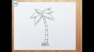 How to draw palm tree for kids