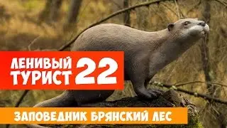 Ленивый Турист Заповедник Брянский Лес Выпуск 22
