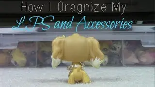 LPS: How I Organize My LPS and Accessories {READ DESCRIPTION}