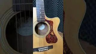 Guild OM 240 CE PREVIEW