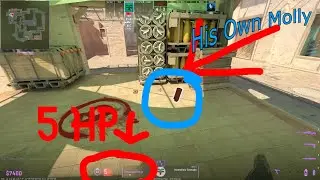 Unhinged Teammates in CS2