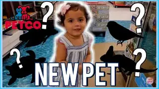 🐍🦎WHAT DID SHE GET AT PETCO?🐦🐢🐠