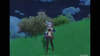 (Genshin For Beginners￼) how to use stardust-