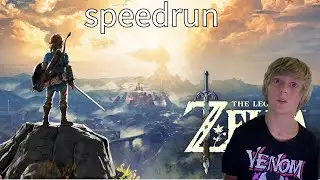 I decided to Beat Botw in one video