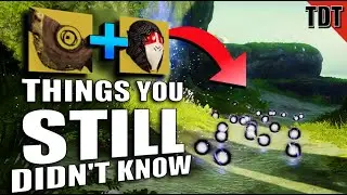 10⁸/⁹ Things You Didn't Know About Destiny 2