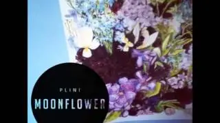 Plini - Moonflower