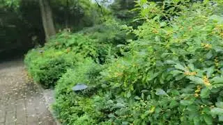 Van Vleck House and Gardens 2