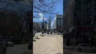 Весна в Краснодаре