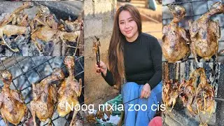 Cis noog ntxai zoov noj os