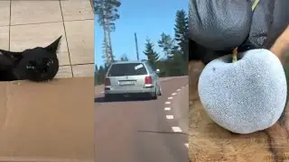 Лучшее Тик Ток  / The  Best Tick Tock