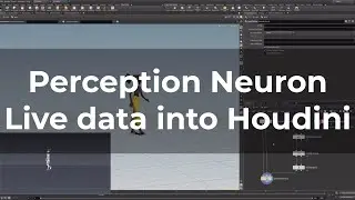 Perception Neuron | Realtime mocap with Houdini