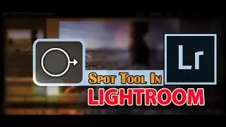 Spot tool in Lightroom
