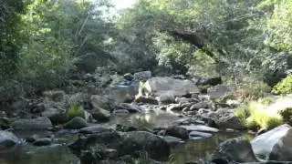 Foto desde Amazonia