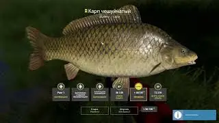 Russian Fishing 4 Oz Bear Trophy Scaly Carp 22.239 kg #pp4 #russkarybalka4