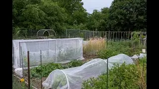 Spring Garden Prep in Real Time