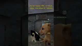 ВОР НАЙДЕН 