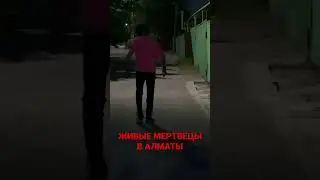 Z0MBIE