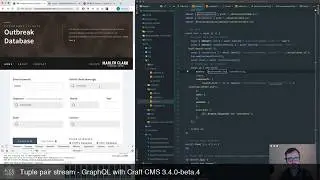 Tuple pair stream - GraphQL with Craft CMS 3.4.0-beta.4
