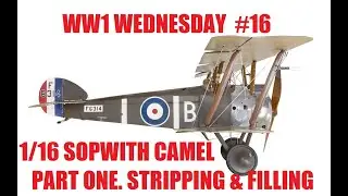 WW I Wednesday, (formerly known as WNW Wednesday) Week 16