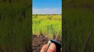 New Tvs iqube electric scooter whatsapp status
