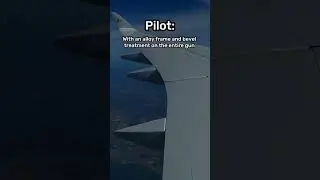 Most CRAZIEST Pilot Announcement 💀 #aviaton #avgeek #plane #planes