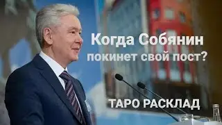 18+ Когда Собянин покинет свой пост? Таро расклад