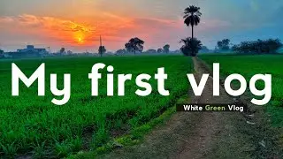 My first vlog || First vlog || First vlog on youtube || 1st vlog || My first blog || Vlog video