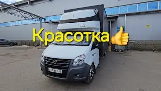 Моя красотка после водных процедур 😎