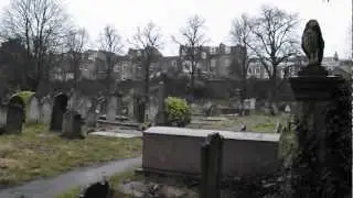 Vibes and Undergrowth at Brompton Cemetery, London