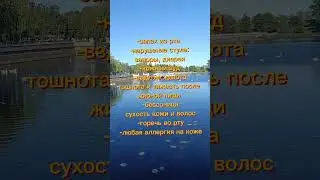 как понять, что у вас застоялась желчь #shorts_ #shortsvideo #shortsyoutube #siberianwellness