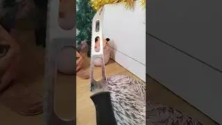 О нет хренобус 