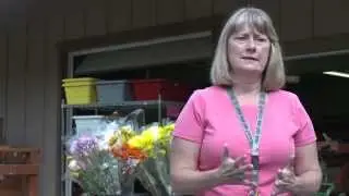 Maltby Food Bank 2015: The Power of Community