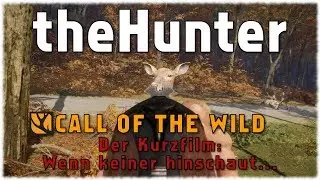 theHunter CotW - Der Kurzfilm: Wenn keiner hinsieht... 18.08.2017 [Sehr Taktisch😁][German][1/1]