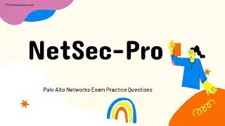 NetSec-Pro Palo Alto Networks Certified Network Security Professional Questions with Explanations