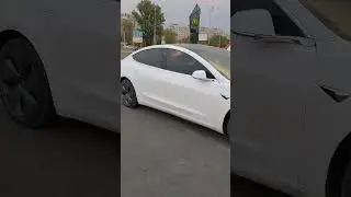 Встретились прошлое и будущее #авто #тесла #запорожец #запоріжжя #смешныевидео