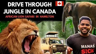 Explore This Hidden Drive Thru Jungle In Hamilton, Canada ft @AfricanLionSafariCanada